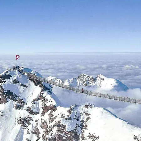 Luxury In Apartment Les Diablerets